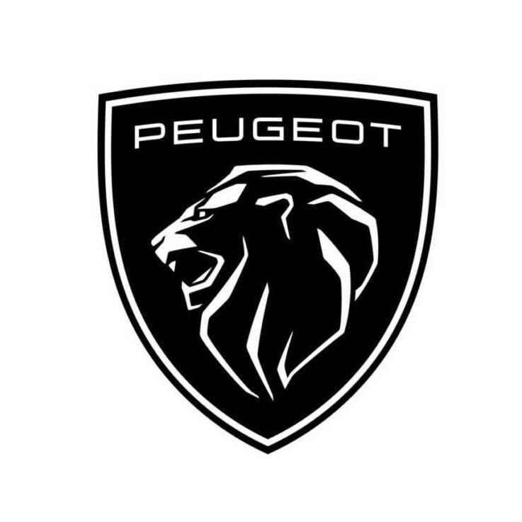 muebles camper peugeot